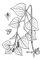 J0281.jpg J0281.jpg