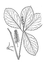 J0282.jpg J0282.jpg