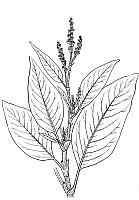 J0283.jpg J0283.jpg