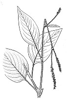 J0284.jpg J0284.jpg