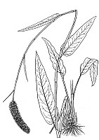 J0296.jpg J0296.jpg