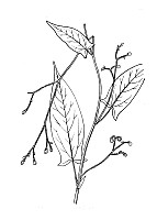 J0305.jpg J0305.jpg