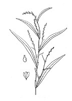 J0309.jpg J0309.jpg