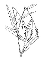 J0324.jpg J0324.jpg