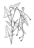 J0329.jpg J0329.jpg