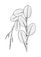 J0332.jpg J0332.jpg