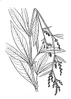 J0342.jpg J0342.jpg