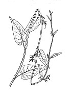 J0343.jpg J0343.jpg