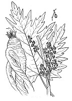 J0349.jpg J0349.jpg