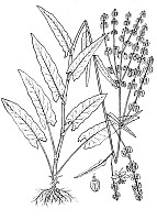 J0351.jpg J0351.jpg