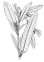 J0355.jpg J0355.jpg