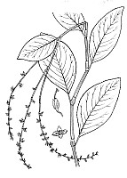 J0360.jpg J0360.jpg