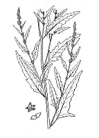 J0363.jpg J0363.jpg