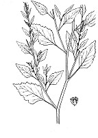 J0367.jpg J0367.jpg