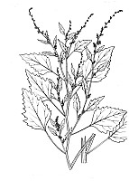 J0374.jpg J0374.jpg