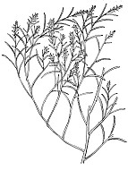 J0377.jpg J0377.jpg
