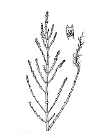 J0381.jpg J0381.jpg