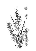 J0384.jpg J0384.jpg
