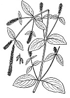 J0387.jpg J0387.jpg
