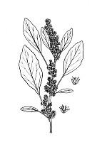 J0390.jpg J0390.jpg