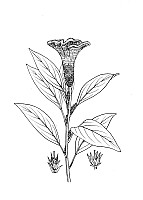 J0392.jpg J0392.jpg