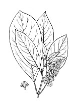 J0395.jpg J0395.jpg