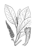 J0396.jpg J0396.jpg