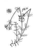 J0404.jpg J0404.jpg