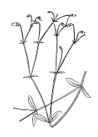 J0407.jpg J0407.jpg