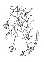 J0415.jpg J0415.jpg