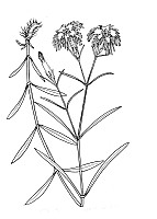 J0416.jpg J0416.jpg