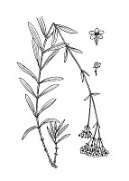 J0418.jpg J0418.jpg