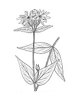 J0420.jpg J0420.jpg