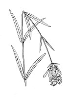 J0423.jpg J0423.jpg