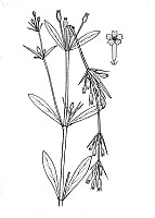 J0426.jpg J0426.jpg