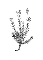 J0432.jpg J0432.jpg