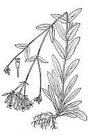 J0442.jpg J0442.jpg