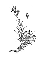 J0443.jpg J0443.jpg
