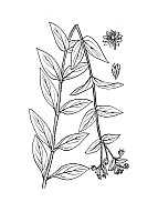 J0449.jpg J0449.jpg