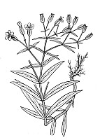 J0457.jpg J0457.jpg