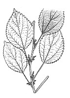 J0459.jpg J0459.jpg