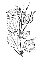 J0462.jpg J0462.jpg