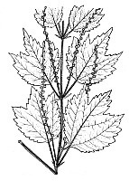J0465.jpg J0465.jpg