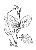 J0466.jpg J0466.jpg