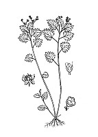 J0467.jpg J0467.jpg