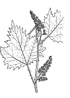 J0473.jpg J0473.jpg