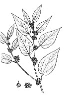 J0474.jpg J0474.jpg
