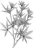J0475.jpg J0475.jpg