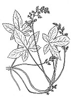 J0476.jpg J0476.jpg