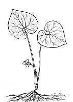 J0478.jpg J0478.jpg